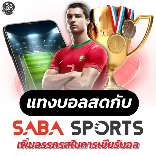 เว็บแทงบอลวอเลท 2025
